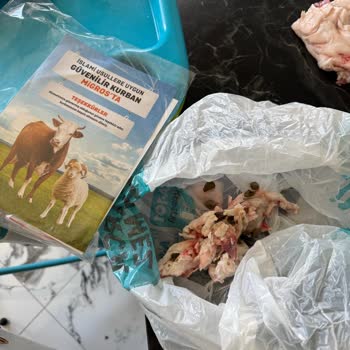 Migros'tan Aldığım Kurbanlıkta Hijyen Sorunu