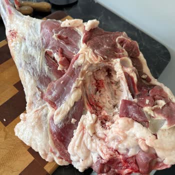 Migros'tan Aldığım Kurbanlıkta Hijyen Sorunu