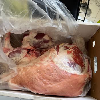 Migros'tan Aldığım Kurbanlıkta Hijyen Sorunu