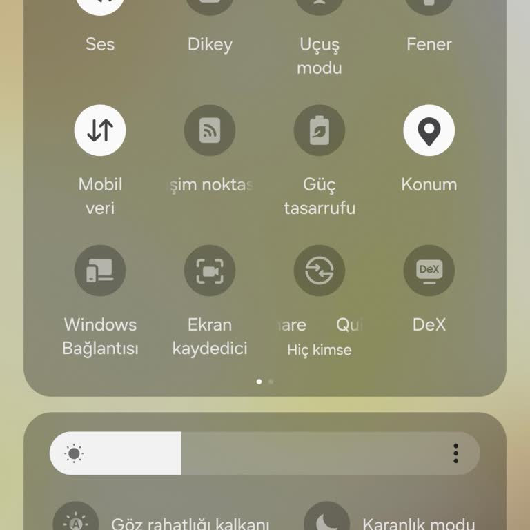 Samsung S24 Plus Kumlu Ekran