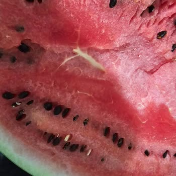 Getir Ve Çözüm Üretemeyen Politikaları!