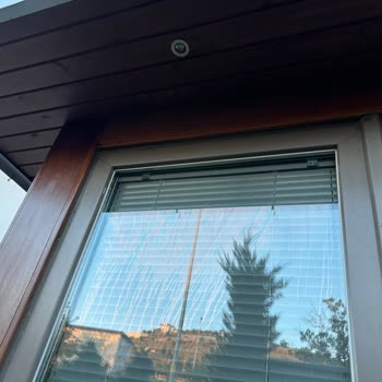 Gülcam Malı Arkasında Durmuyor