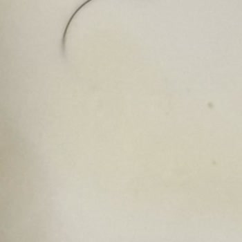 Bahçıvan Krem Peynir Kıl Çıktı