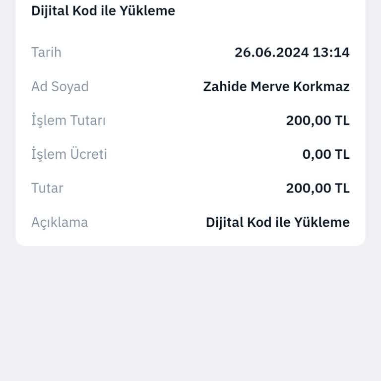 MoneyPay Pro Bakiyem Gözükmüyor