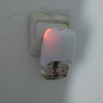 Raid Sinek İlacı Pişmanlıktır