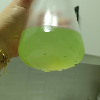 Schweppes Bitter Limon İçeceğinde Yeşil Parçacıklar Var