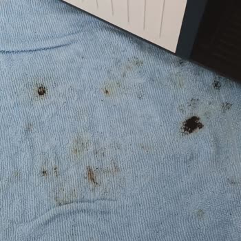 Trendyol BKM Technology Tchibo Cafissimo Mil Beyaz Kapsül Kahve Makine Kullanılmış