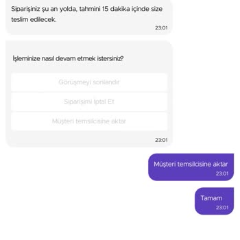 Getir Siparişi: Erimiş Dondurmalar Ve Hayal Kırıklığı