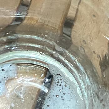 Anadolu Efes Efes Summer Brew İçinde Kurt Şikayet