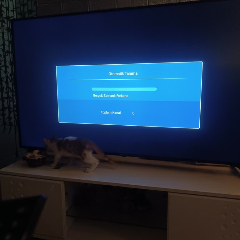 Skytech Televizyonu Sadece İnternet Üzerinden Kullanabiliyoruz