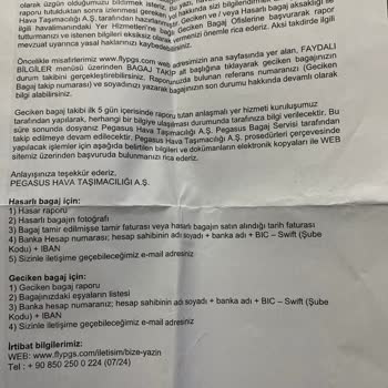Pegasus Bagajım Kayboldu Ertesi Gün Geldi