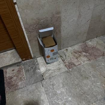 Özgüne Temizlik Ve Apartman Yönetimi Binanın Temizliği Düzgün Yapılmıyor!