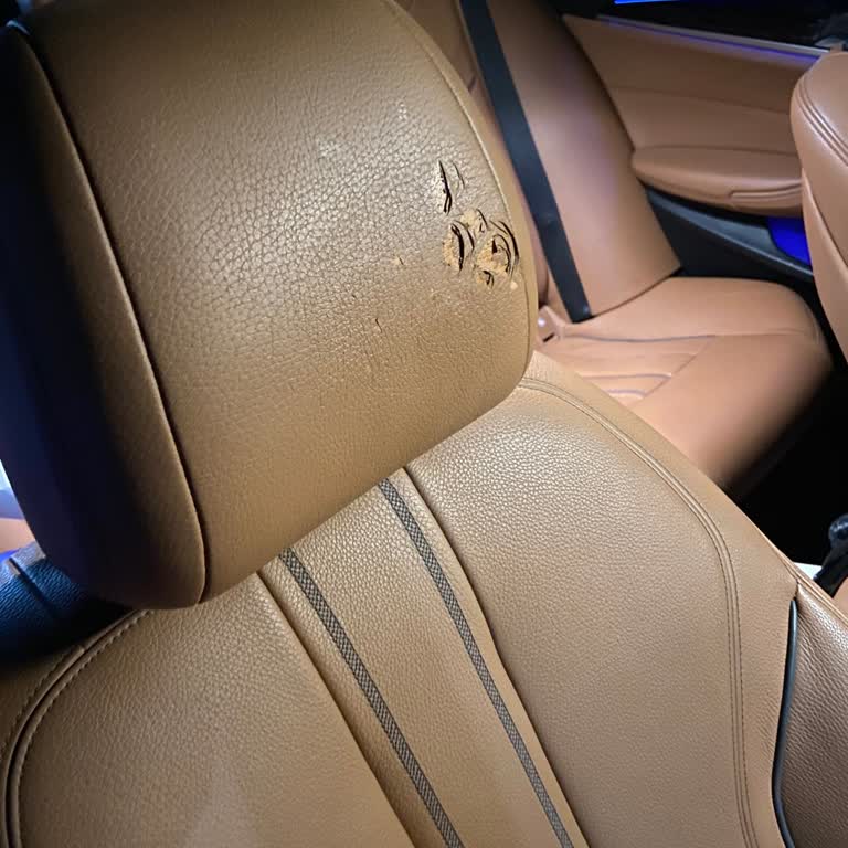 BMW G30 Deri Erimesi