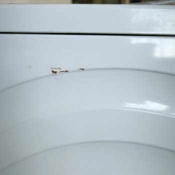 Profilo Çamaşır Makinesi Paslanma Sorunu