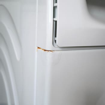 Profilo Çamaşır Makinesi Paslanma Sorunu
