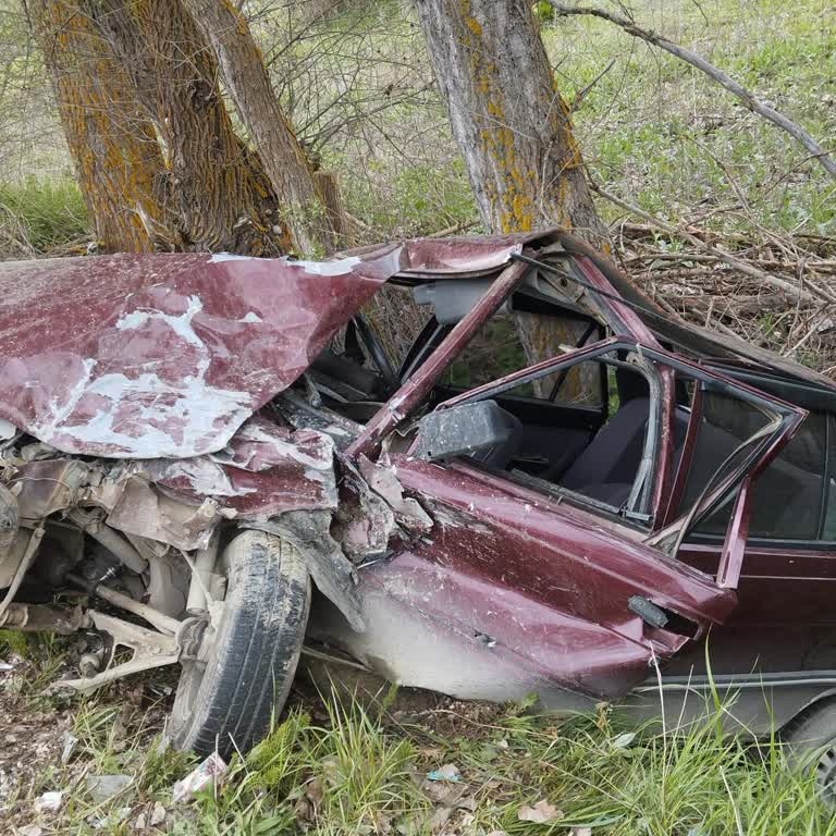Nereden Karşıma Çıktın Emaa Sigorta Şirketi
