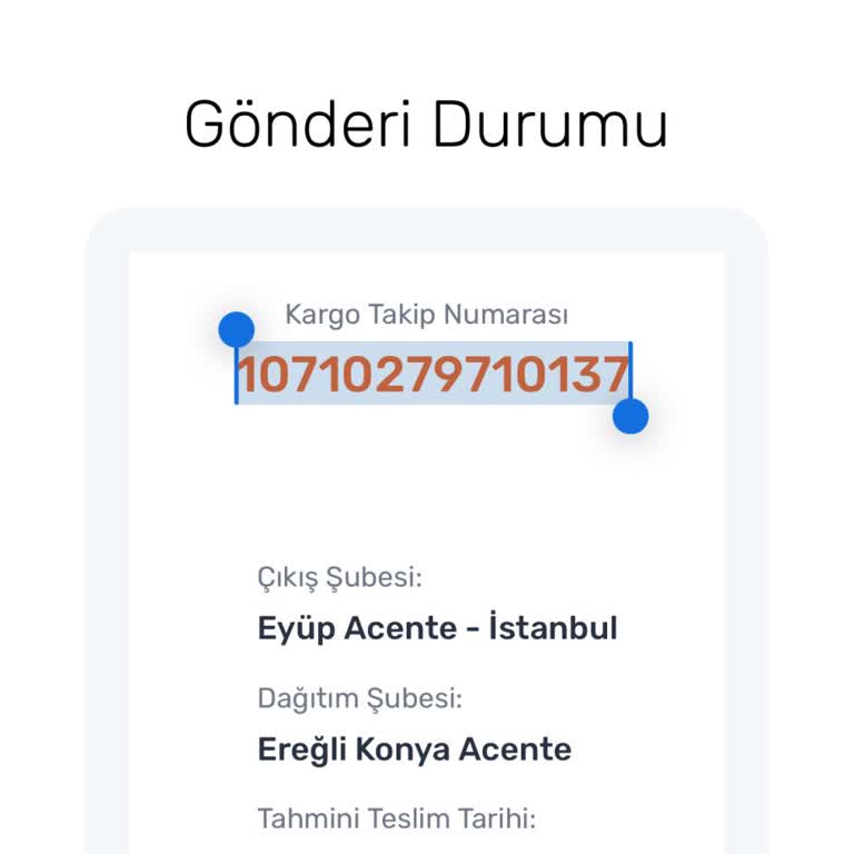 Sürat Kargo Kargomu Kaybetti Muhatap Yok