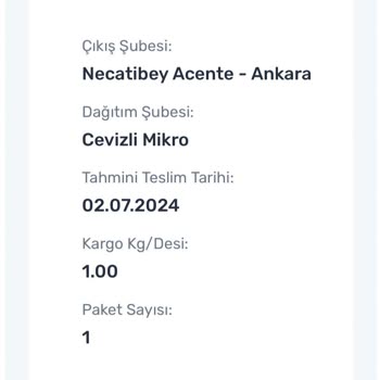 Sürat Kargo Cevizli Mikro Şubesi Kargomla Beraber Kayboldu