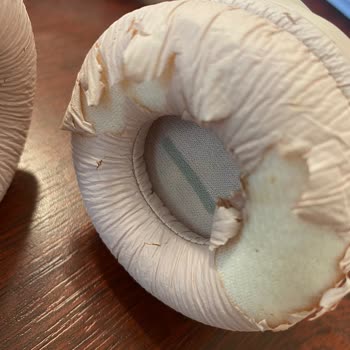 JBL Audio Systems T560bt Kulak Üstü Bluetooth Kulaklık Soyulma Sorunu