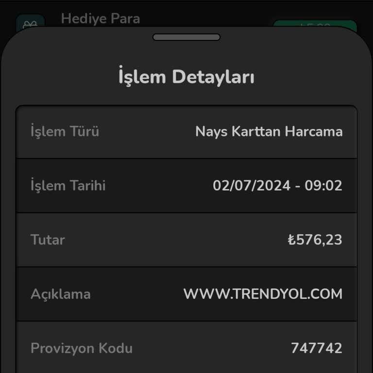 Nays Üyeliğimde Hediye Para Aktarımı Sorunu