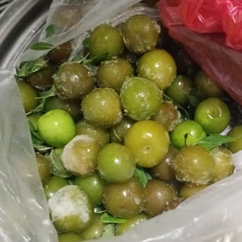 Arçelik Buzdolabı Sorunları Ve Çözüm Beklentisi