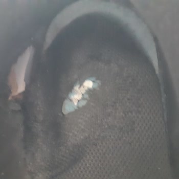 FLO Ayakkabı FLO Dan Nike Ayakkabının Üstünün Yırtılması Tabanın İçinden Açılması