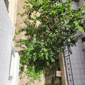 Avcılar Belediyesi Üslup Yoksunu İnsanlar Çalışıyor H Aram Olsun