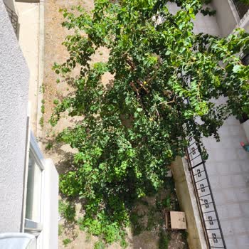 T. C. Cumhurbaşkanlığı Avcılar Belediyesi Üslup Yoksunu!