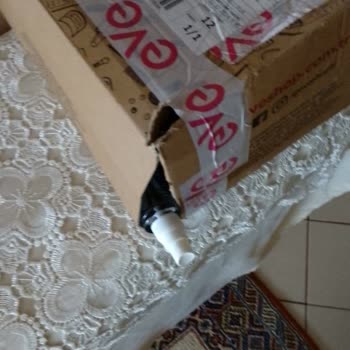 Eve Siparişimdeki Ürünlerin Durumu Ve Kargo Problemi
