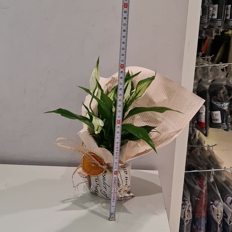 Çiçek Sepeti İlgisiz Müşteri Hizmetleri