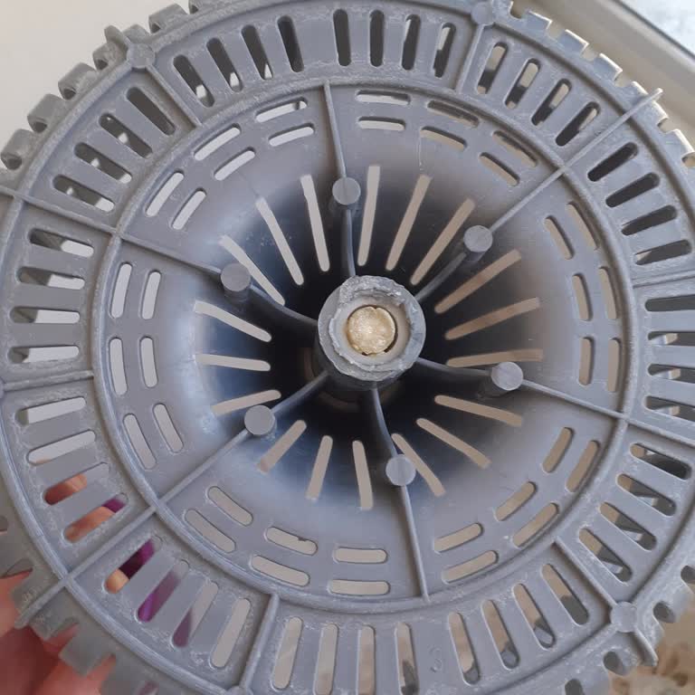 Parex Sıkma Aparatı Kırıldı