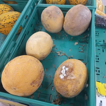 Migros Çürük Sebze Meyve Satışı