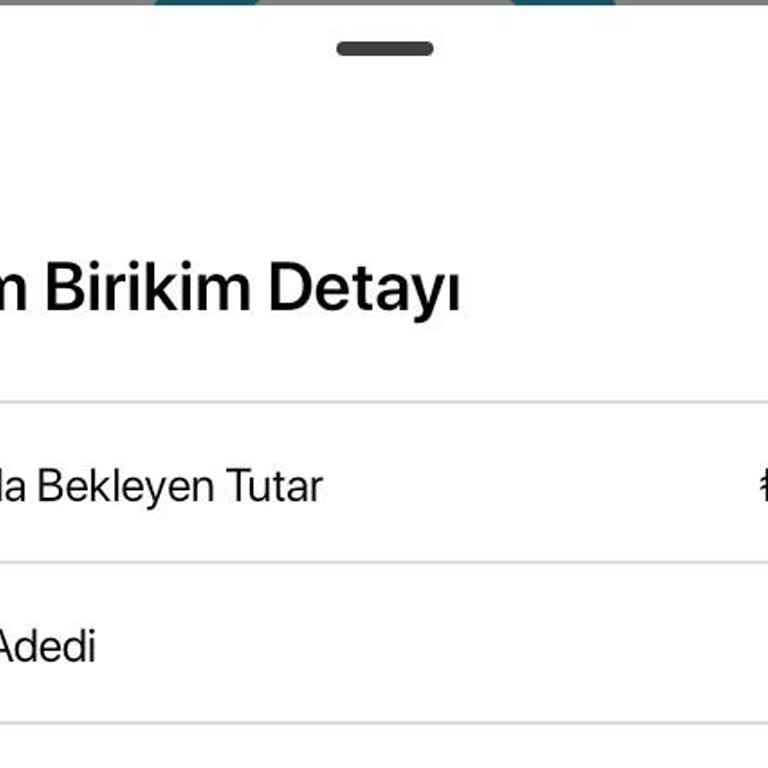 Türkiye Hayat Emeklilik Provizyonda Kalan Ödemelerim