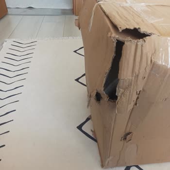 Çerkezköy Papatya Aras Kargo Mağdur Ediyor