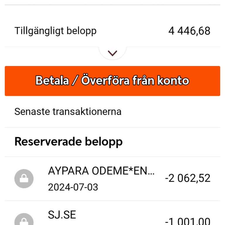 Pegasus Param Nereye Gitti?