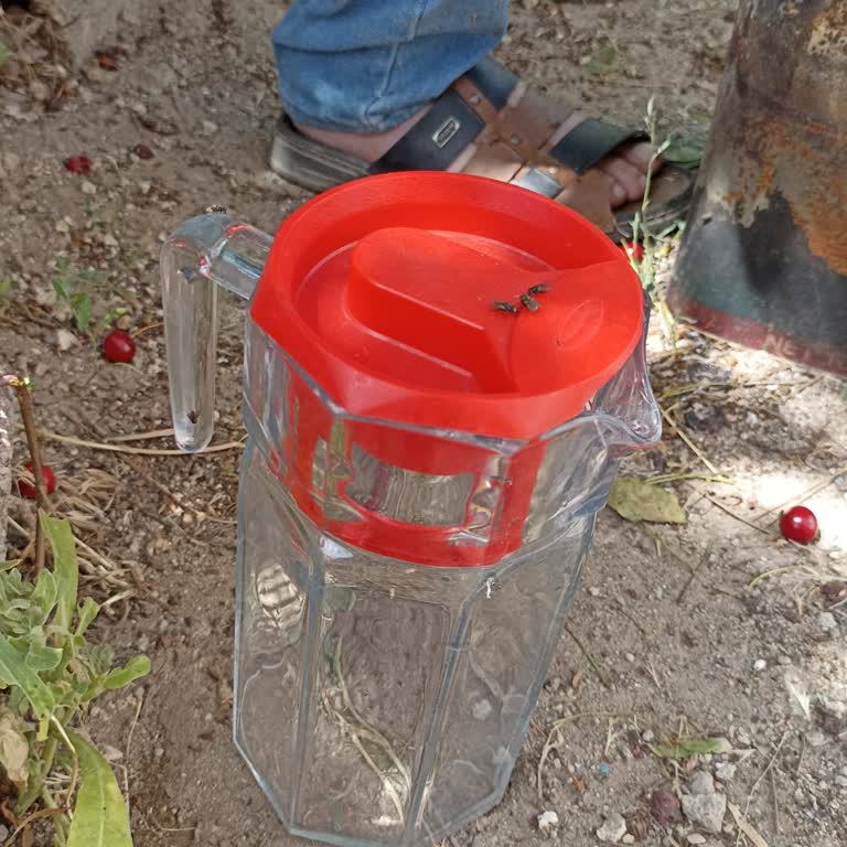 Tomarza Belediyesi Sineklerden Bıktık. İlaçlama Yapın!