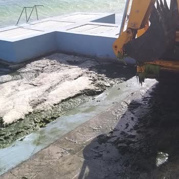 İstanbul Çevre Ve Şehircilik İl Müdürlüğü Deniz Ve Çevre Kirliliği!