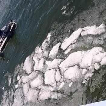 İstanbul Çevre Ve Şehircilik İl Müdürlüğü Deniz Ve Çevre Kirliliği!