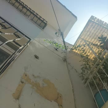 Yerinden Kopmuş Direğe Haftalardır TEDAŞ Tarafından Müdahale Edilmiyor