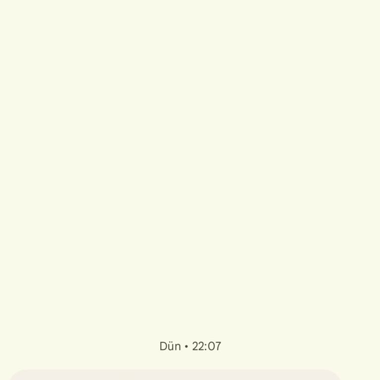 Info Verify (SMS) İnfo Verify Dan Gelen Mesaj