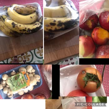 Migros Sanal Market Şikayet Acil