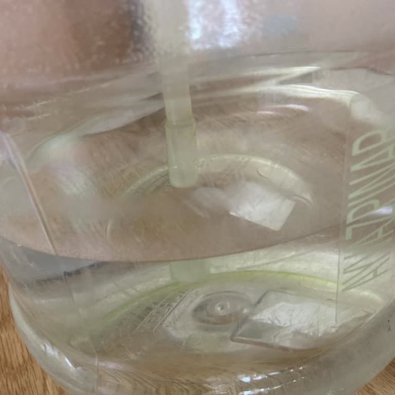 Kuzeyden Su Kuzey Su Yosunlaşma