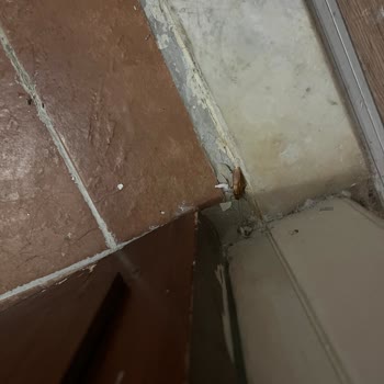 Miki Tur Şirketi Çilesi Bitmedi