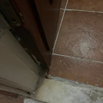 Miki Tur Şirketi Çilesi Bitmedi