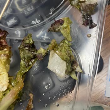 Tavuk Dünyası Verilen Salatanın İçinde Çürümüş Marullar