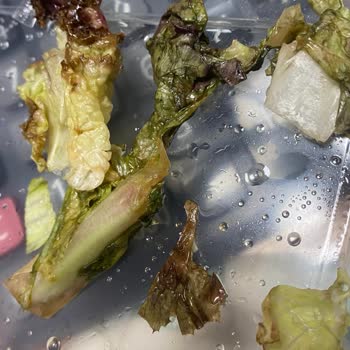 Tavuk Dünyası Verilen Salatanın İçinde Çürümüş Marullar