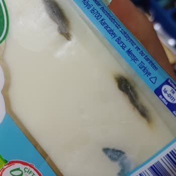 Sütaş Market Sütaş Kaşar Peynirinde Küflenme Problemi