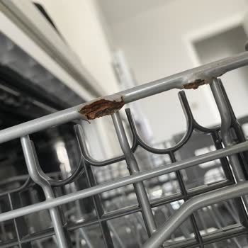 LG Bulaşık Makinesi Paslanması