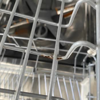 LG Bulaşık Makinesi Paslanması