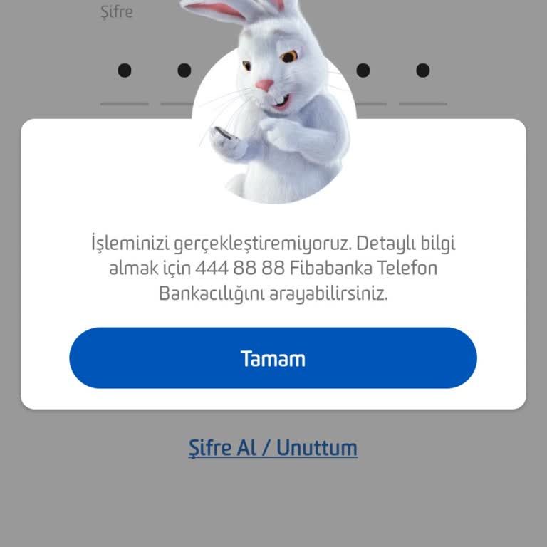 Fibabanka Telefon Güncelleme Yapmıyor